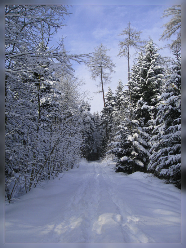 Winterstimmung vor der Haustüre