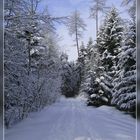 Winterstimmung vor der Haustüre