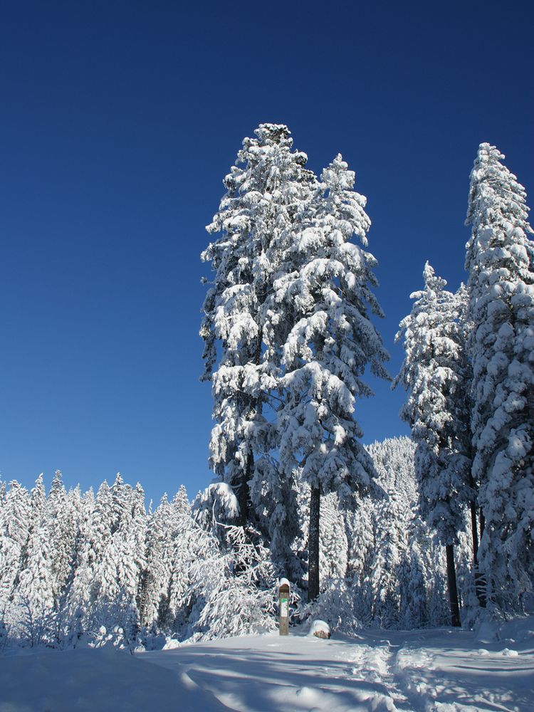 Winterstimmung zum zweiten