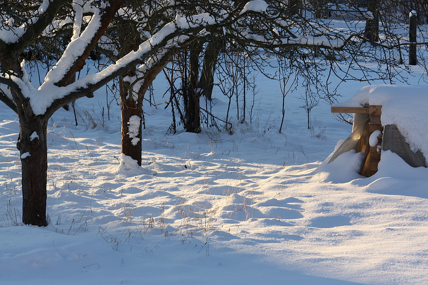 Winterstimmung.01