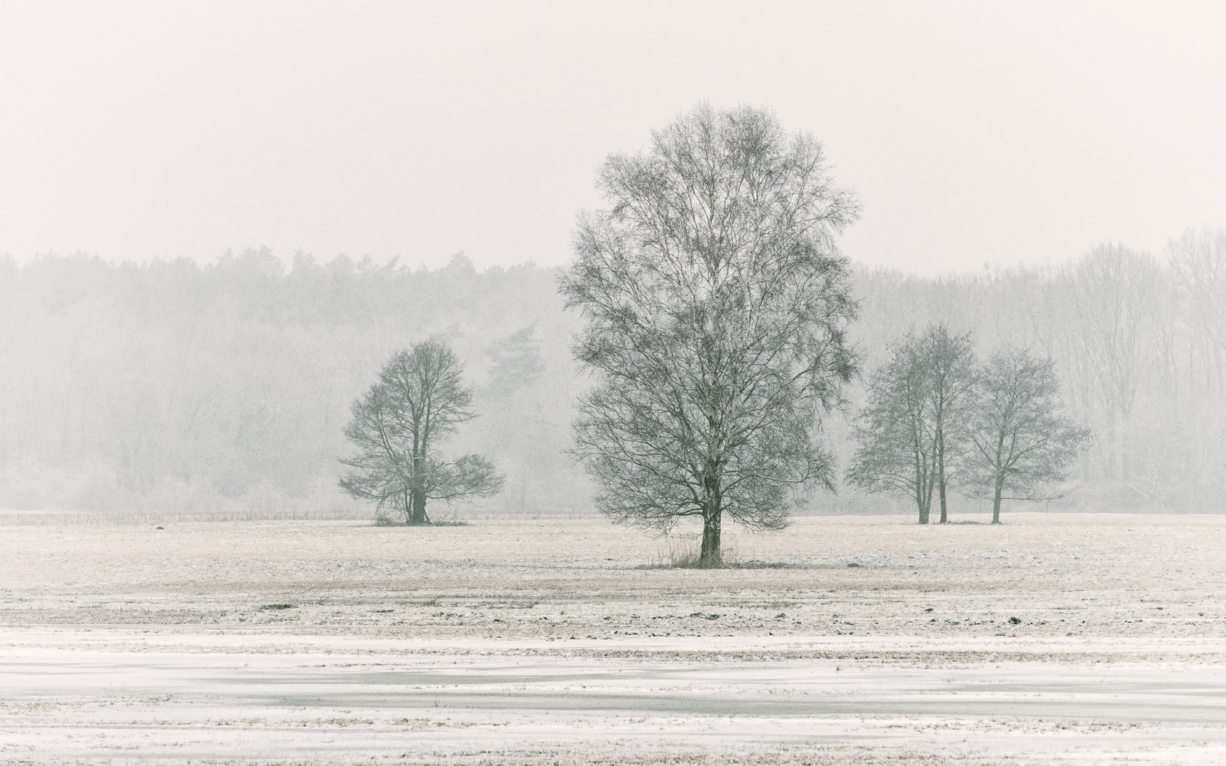 Winterstimmungen