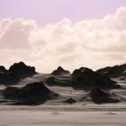 Winterstorm in the dunes of Norderney