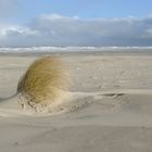 Winterstrand auf Juist