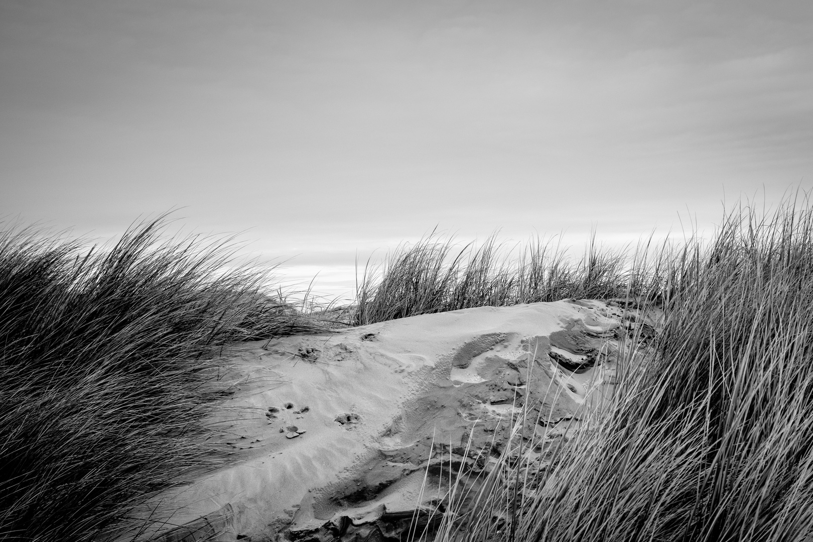 Winterstrand III