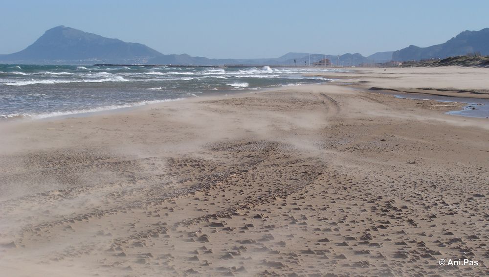 Winterstrand - Piles - Spanien