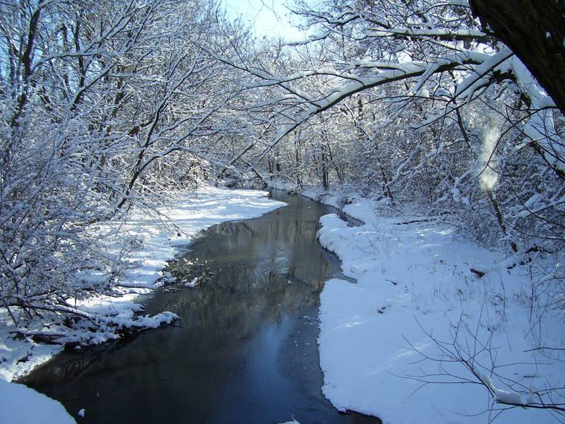 WinterStream