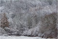 Winterstrukturen, etwas verwirrend... (m. Analysen d. Komposition, Strukturen) 