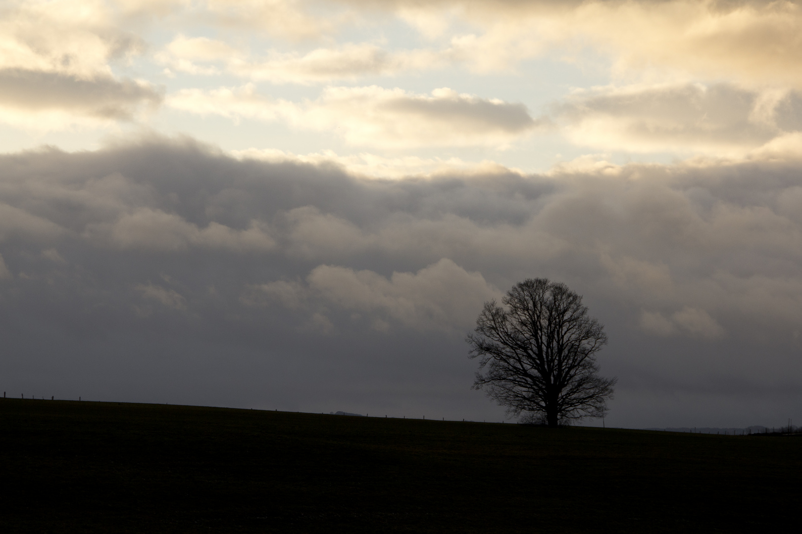 Winterstürme (2)