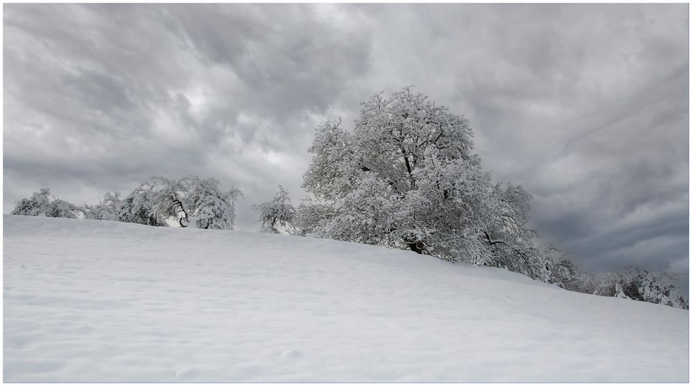 Wintersturm