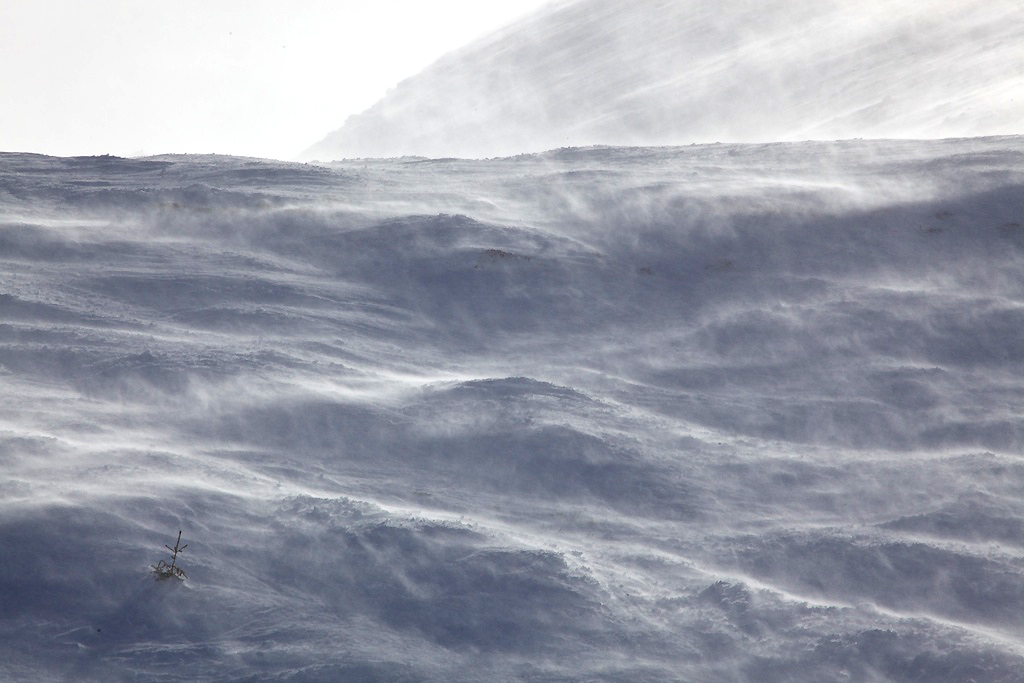 Wintersturm am Berg