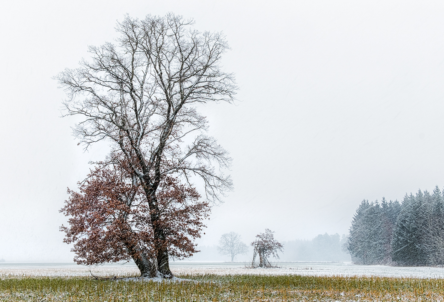 wintersturm 