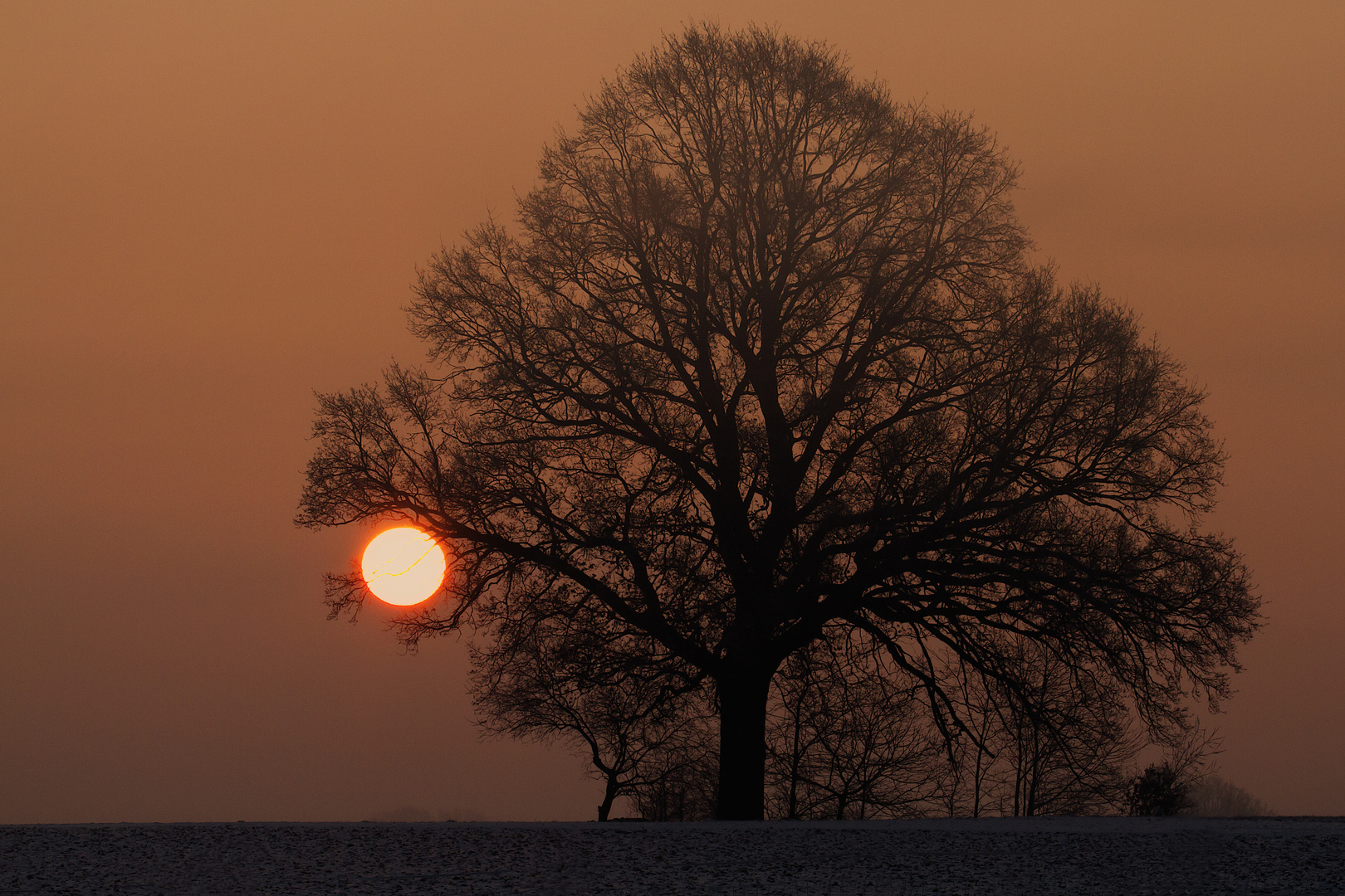 Wintersun