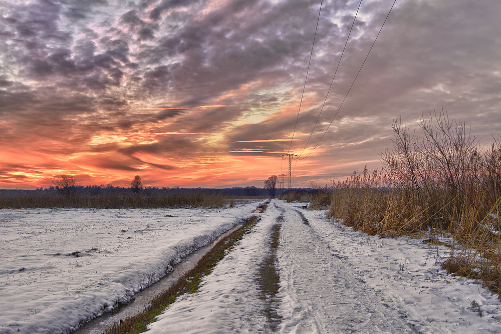 Wintersundowner im Grabenstätter Moor