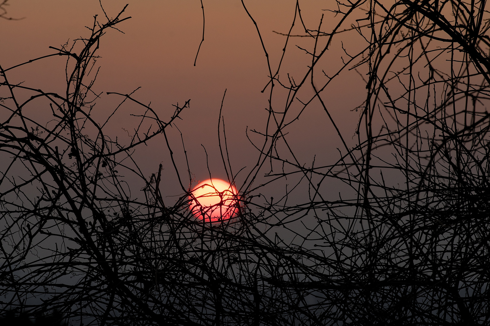 Wintersunset in Muenchen.