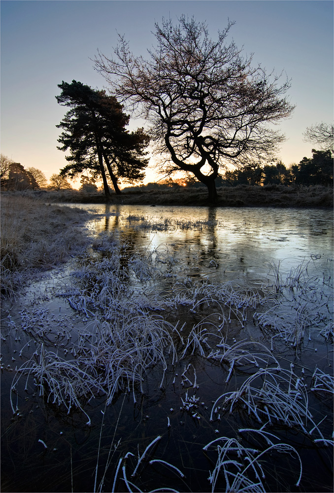 --- Winterszene ---