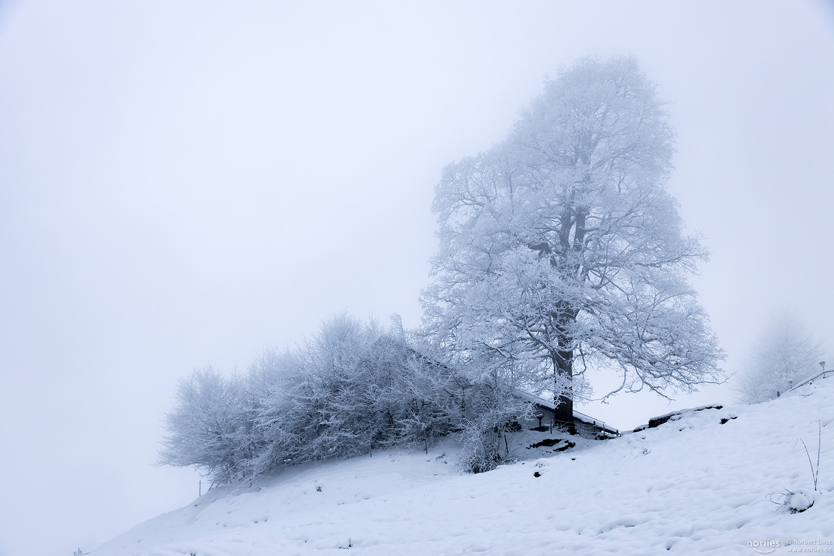 Winterszene