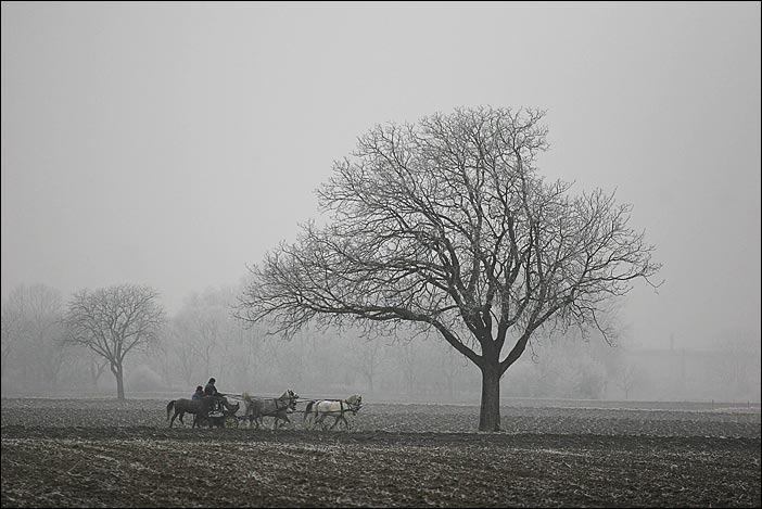 Wintertag