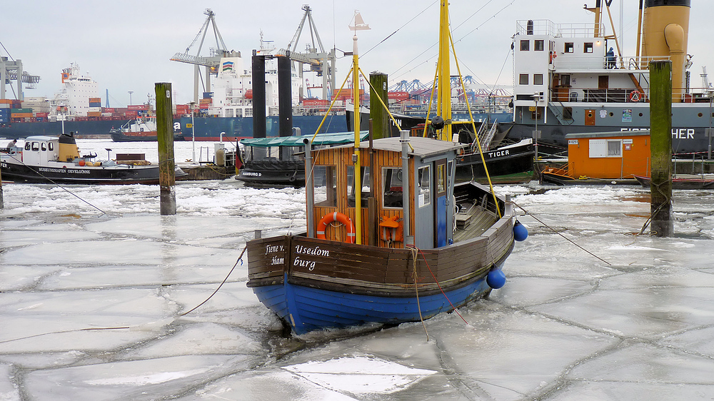 Wintertag 2012 - Anlieger Hamburg Neumühlen