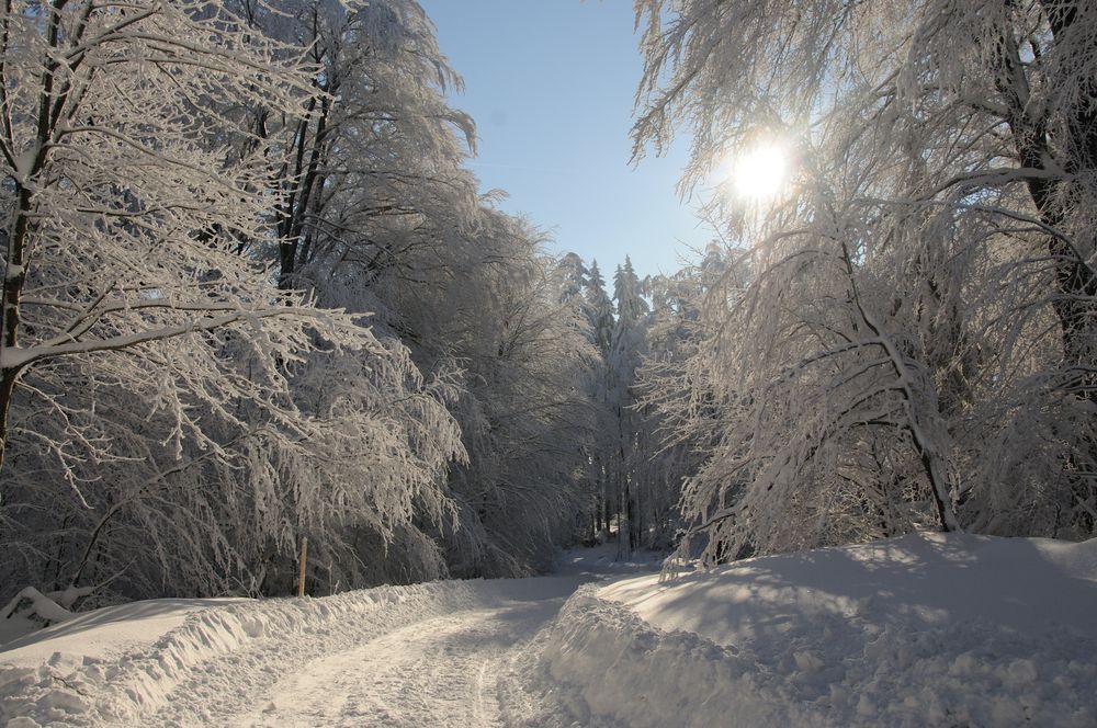 Wintertag von Radiomann 