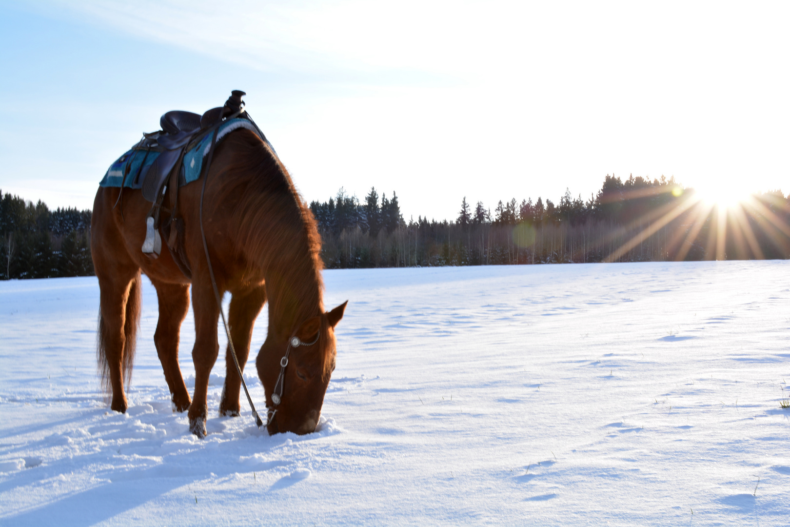 Wintertag