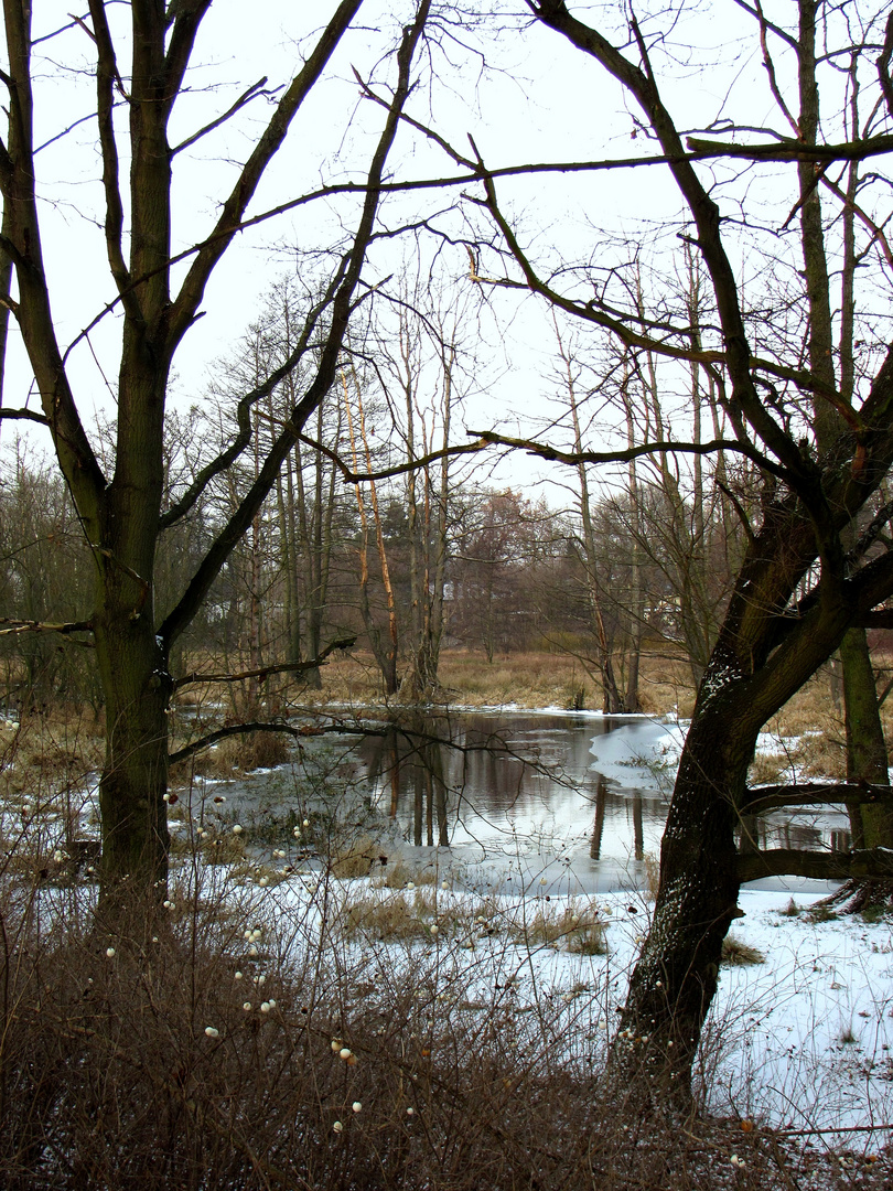 Wintertag am Fließ