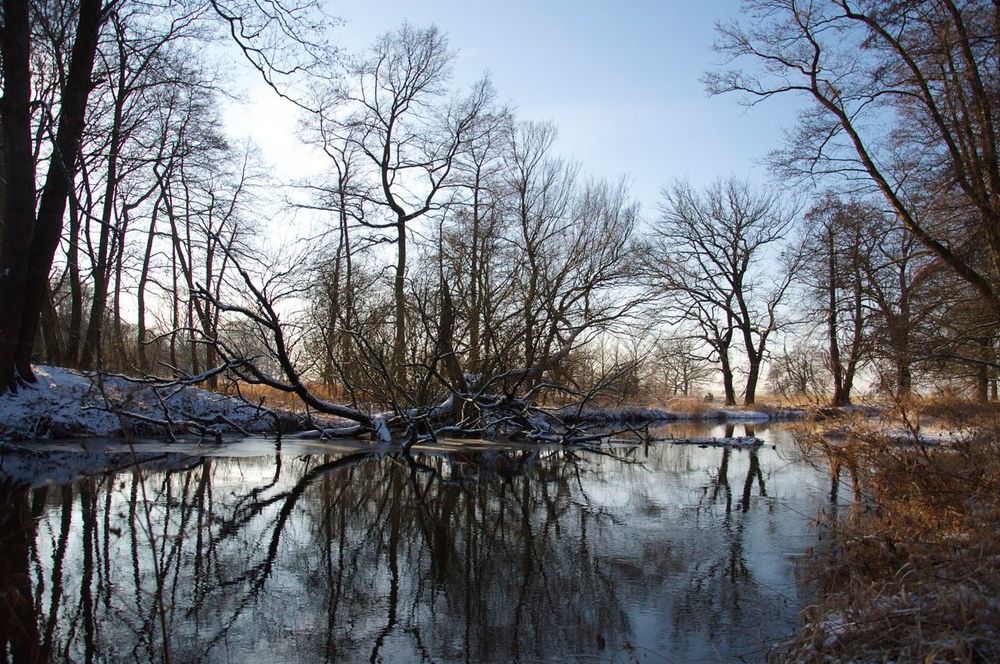 Wintertag am Fluss