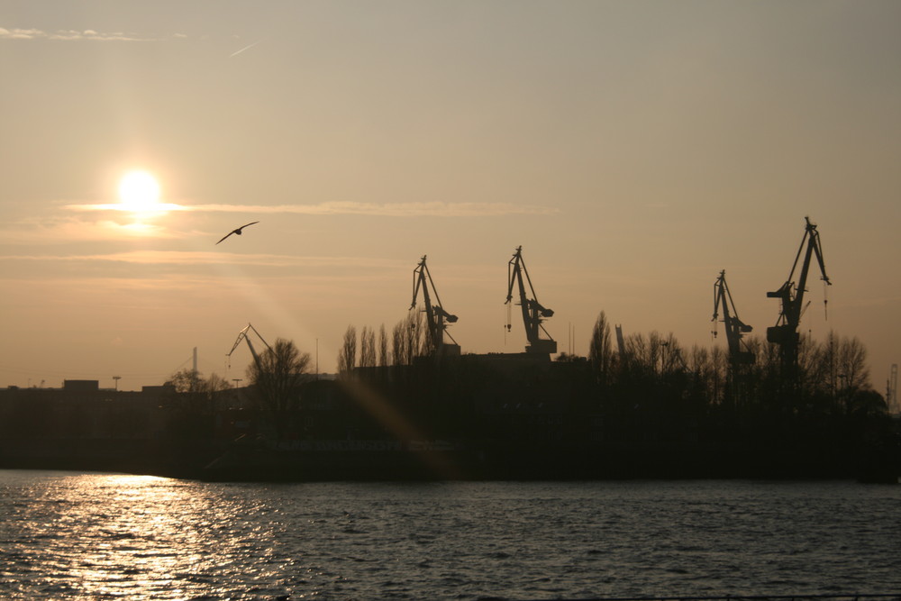 Wintertag am Hafen