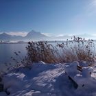 Wintertag am Hopfensee im Allgäu