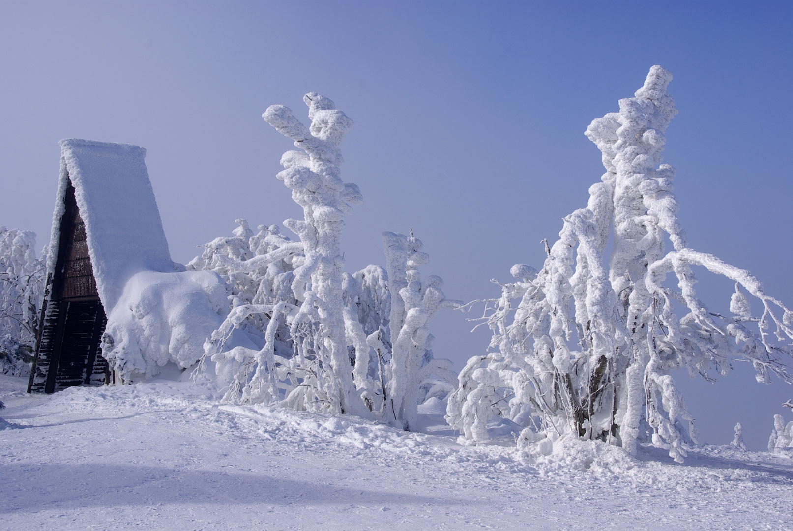 Wintertag am Kahleberg, Ost Erzgebirge, Altenberg