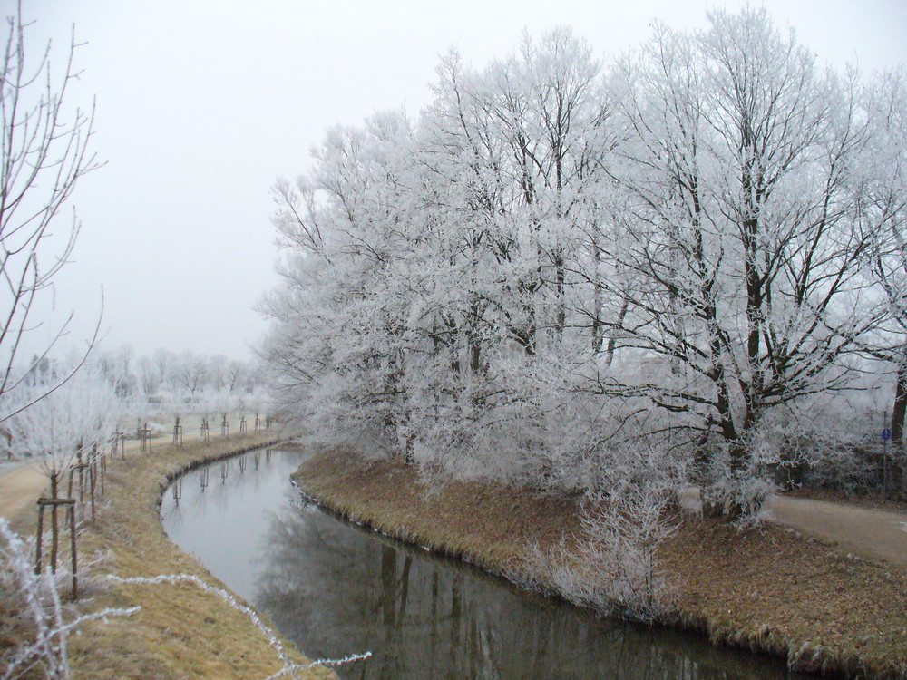 Wintertag am Mühlenbach in Emsdetten