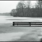 Wintertag am Niederrhein