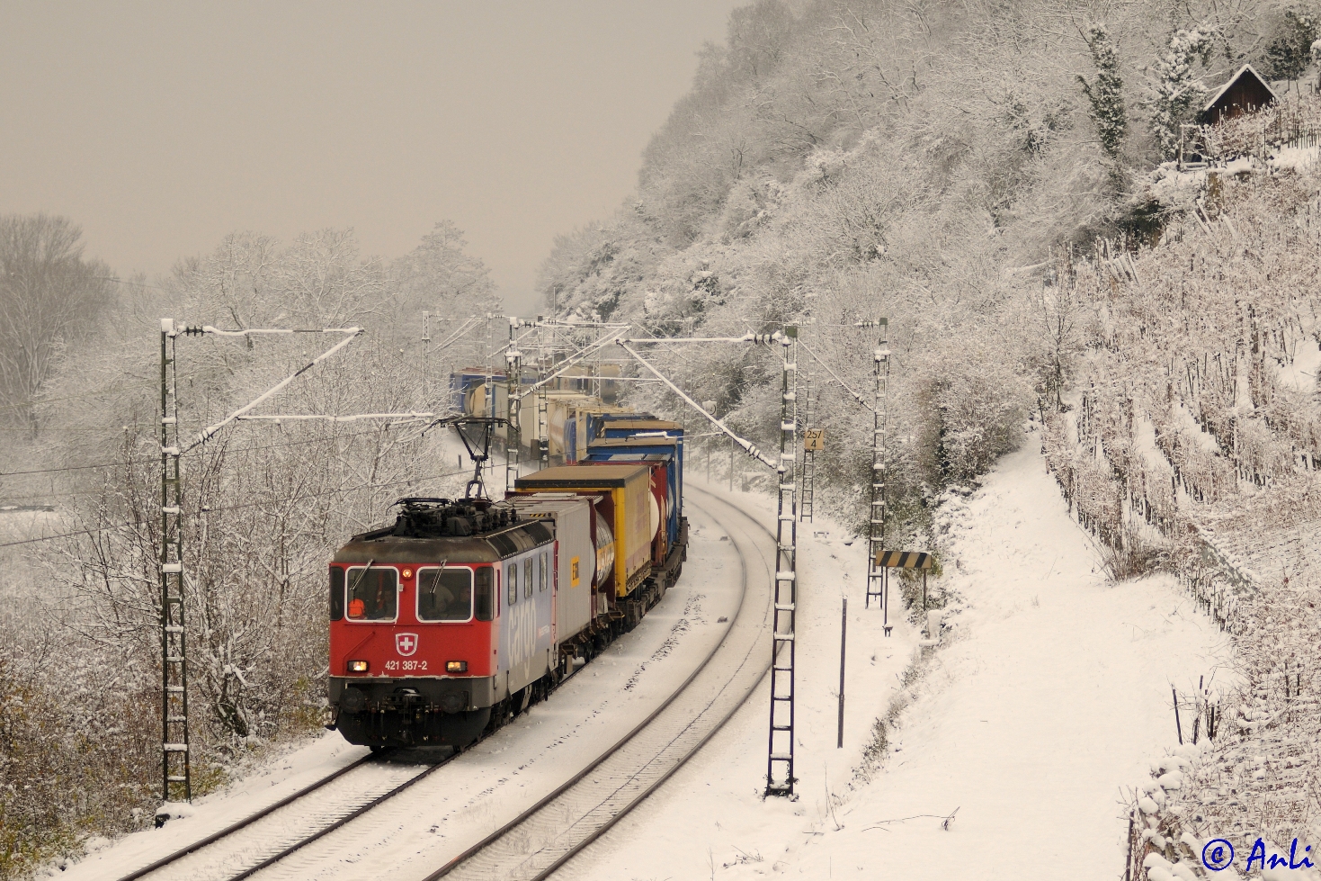 Wintertag am Oberrhein (1)