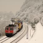 Wintertag am Oberrhein (1)