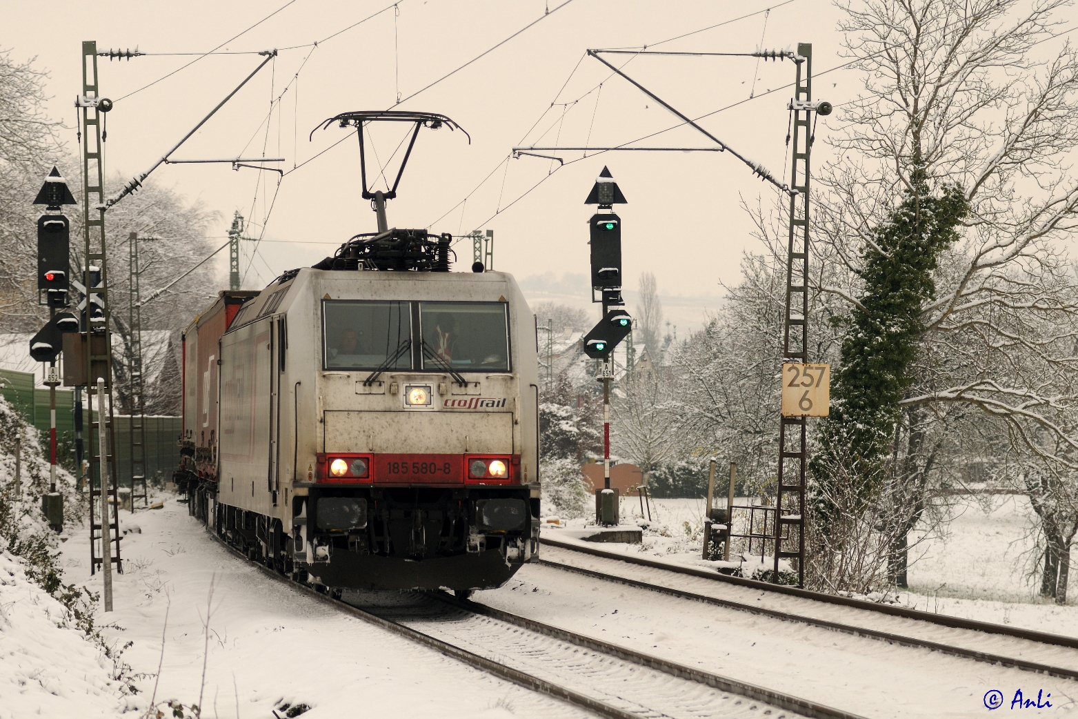 Wintertag am Oberrhein (3)