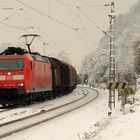 Wintertag am Oberrhein (4)