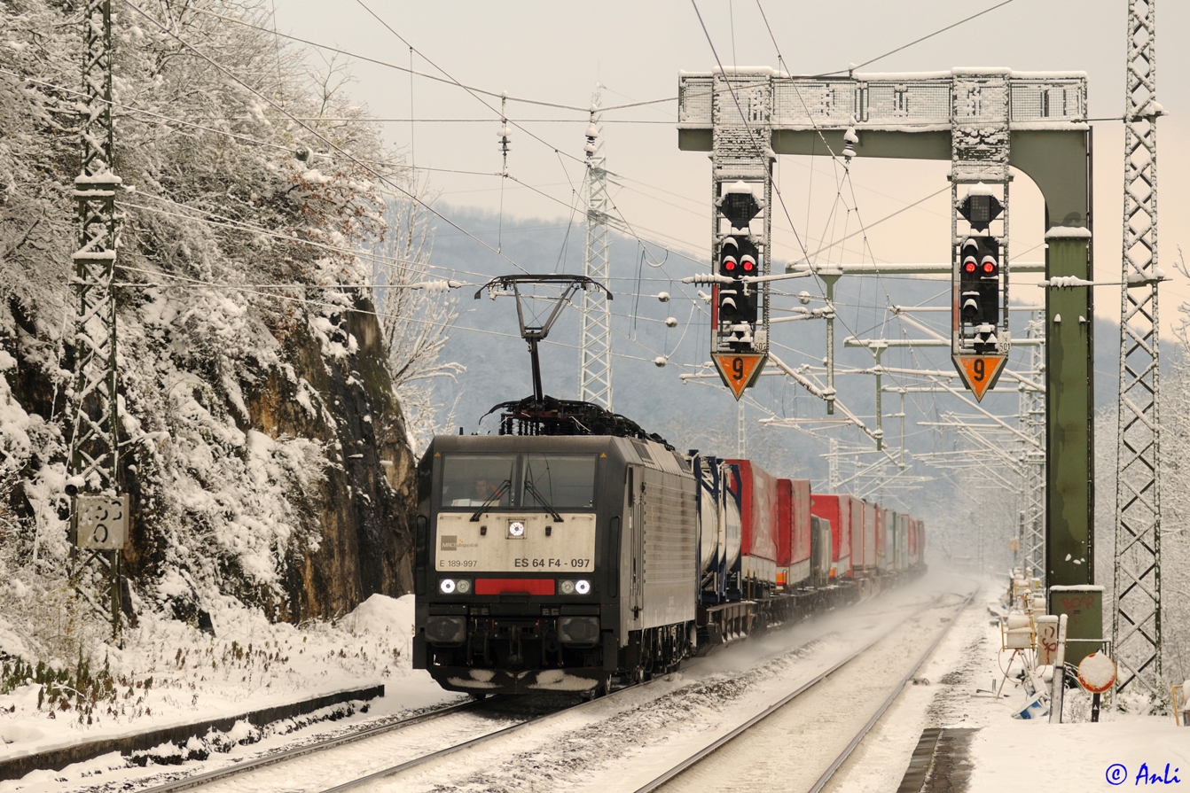 Wintertag am Oberrhein (5)