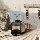 Wintertag am Oberrhein (5)