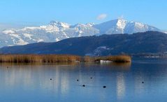 Wintertag am Obersee