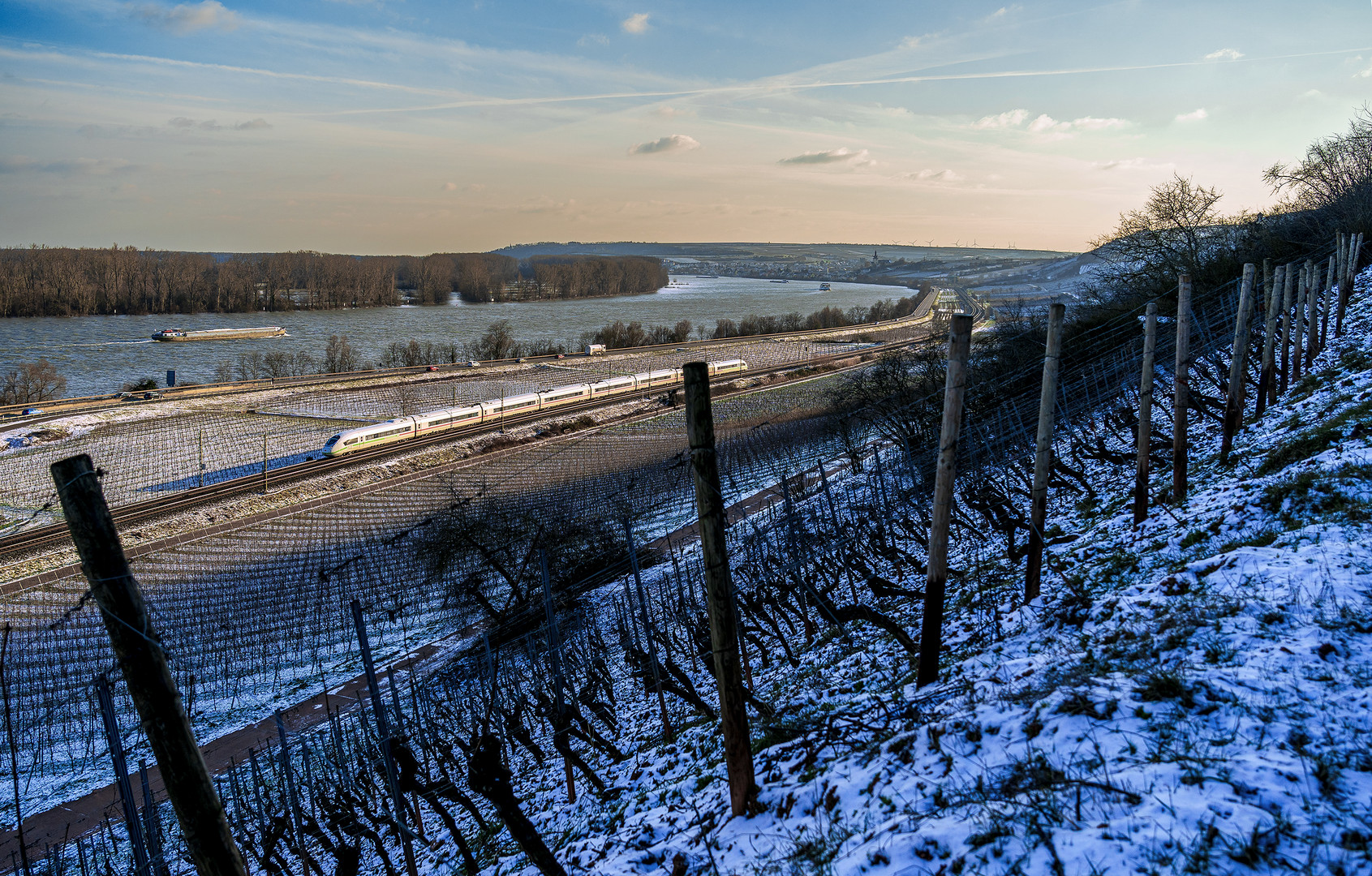Wintertag am Rhein