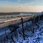 Wintertag am Rhein