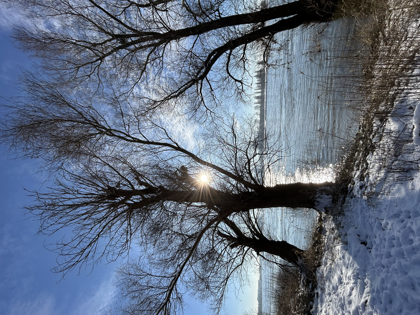 Wintertag am Rhein 