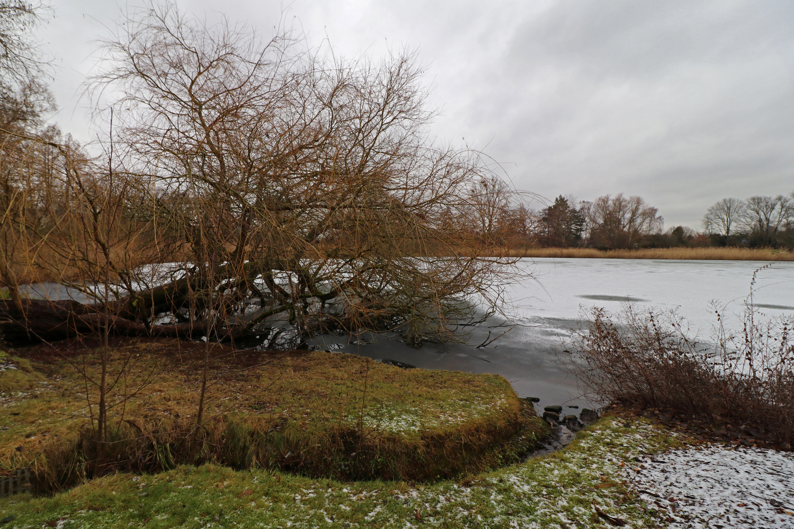 Wintertag am See