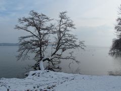 Wintertag am See