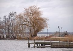  Wintertag am Steinhuder Meer