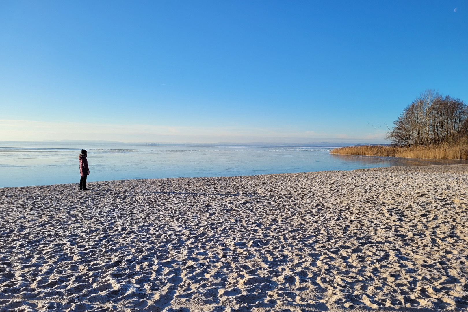 Wintertag am Steinhuder Meer II