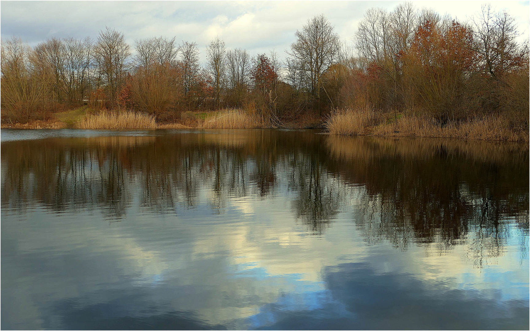 Wintertag am Teich