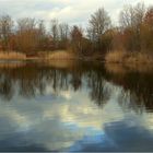 Wintertag am Teich