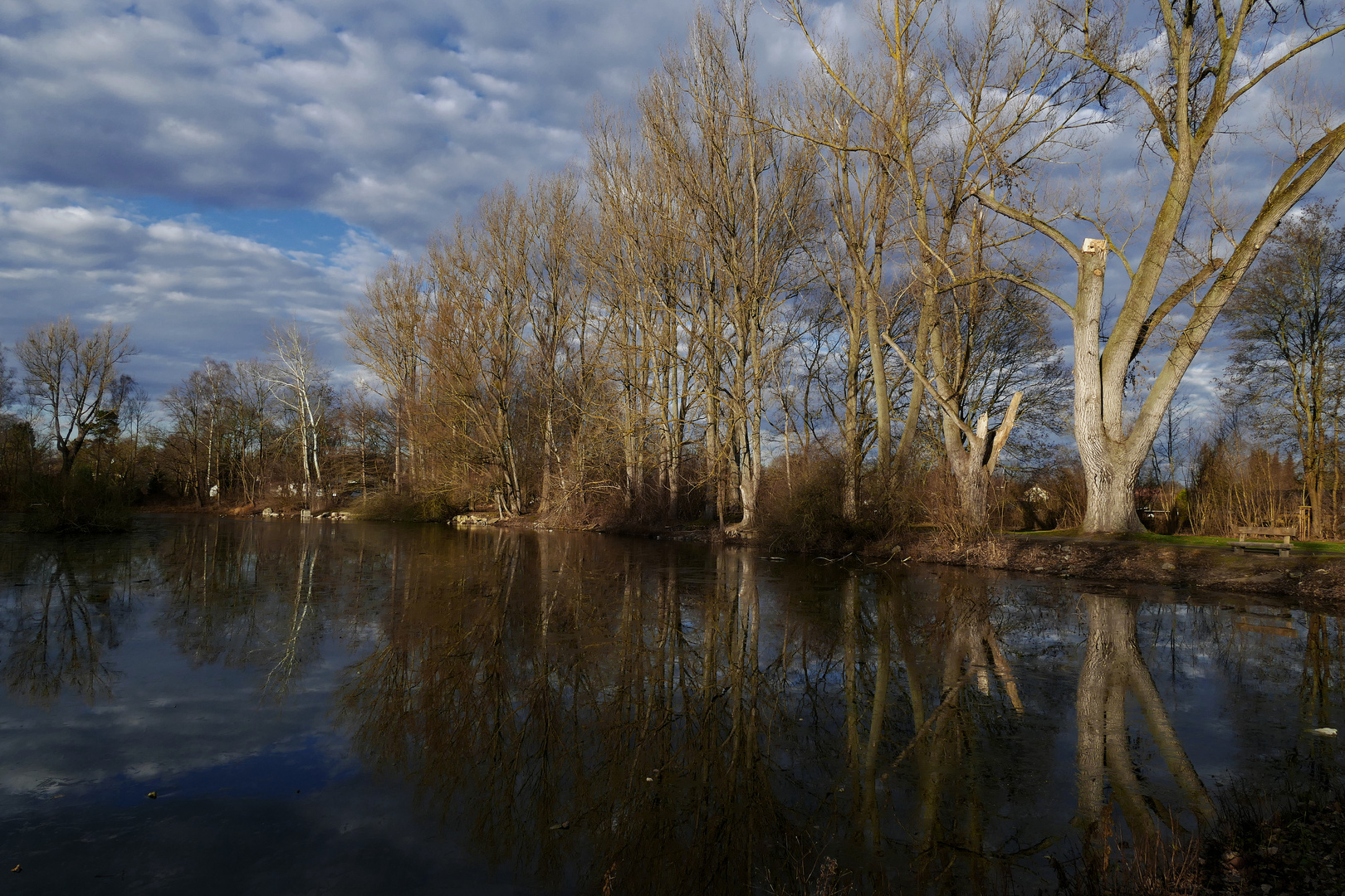 Wintertag am Teich