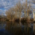 Wintertag am Teich