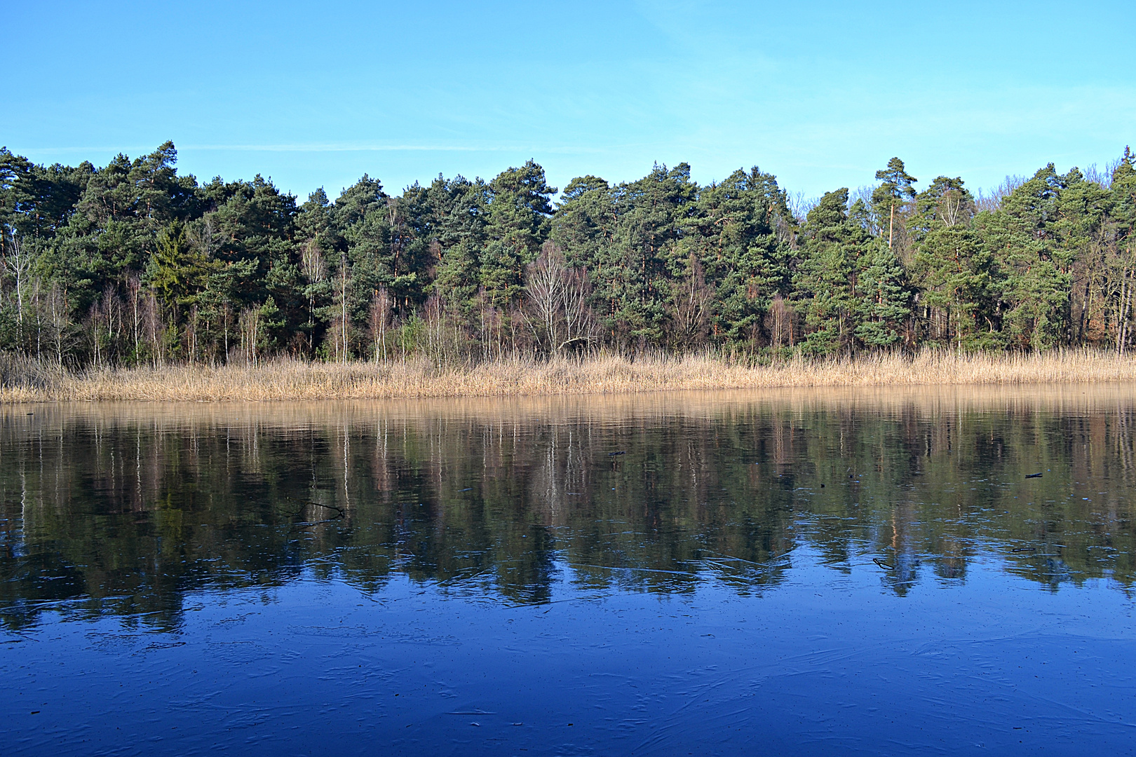 Wintertag am Vogelwoog